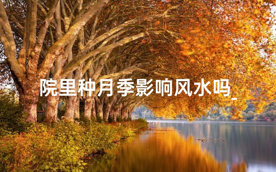院里种月季影响风水吗_院里月季种植:风水影响之谜