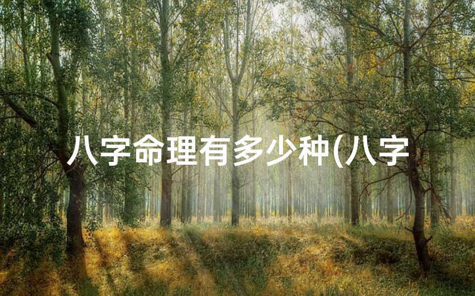 八字命理有多少种(八字命理分析多样法揭秘)