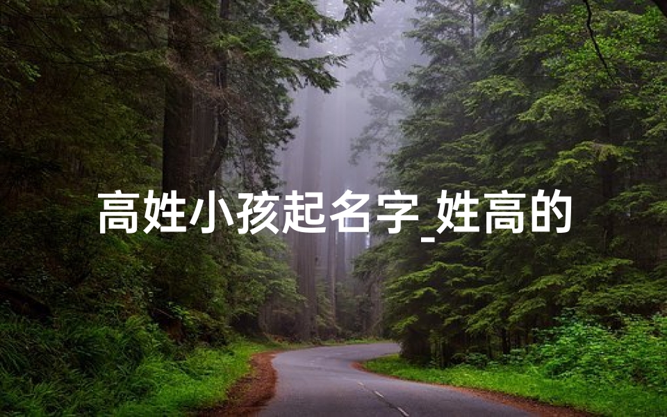 高姓小孩起名字_姓高的小孩起什么名字好听