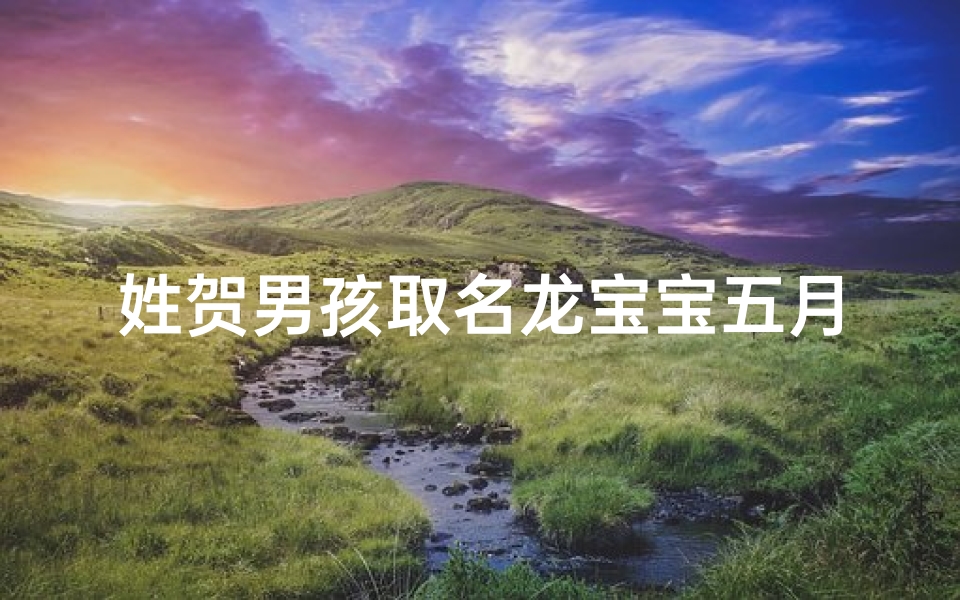姓贺男孩取名龙宝宝五月初九出生