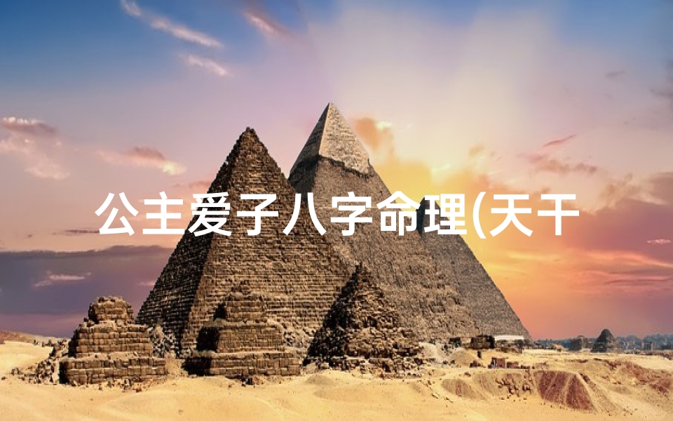 公主爱子八字命理(天干合婚是什么意思,八字合婚是什么意思啊 )