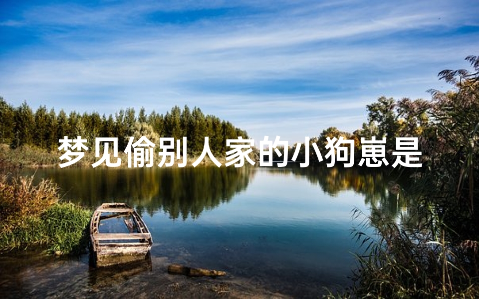 梦见偷别人家的小狗崽是什么意思_梦到偷别人家小狗崽是什么意思