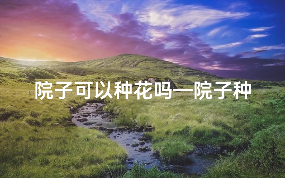 院子可以种花吗—院子种花风水佳,宜居之地宜人赏