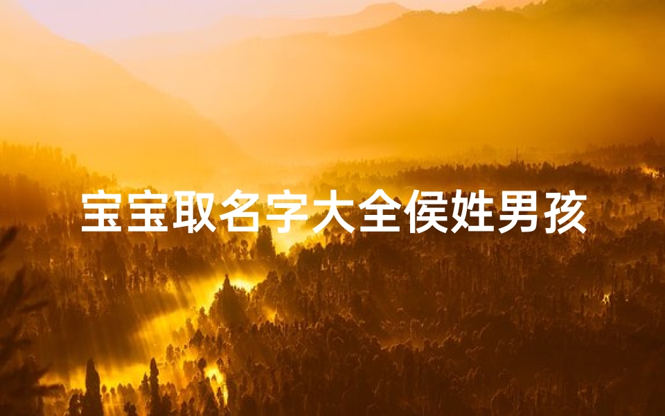 宝宝取名字大全侯姓男孩(姓侯男孩的独特名字)