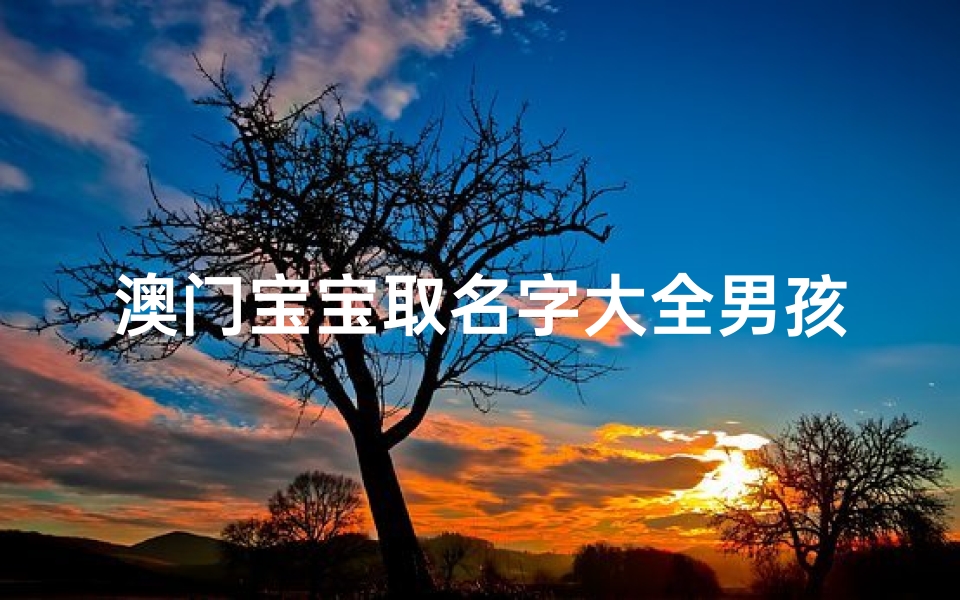 澳门宝宝取名字大全男孩(陈姓仙气名字有诗韵2025)