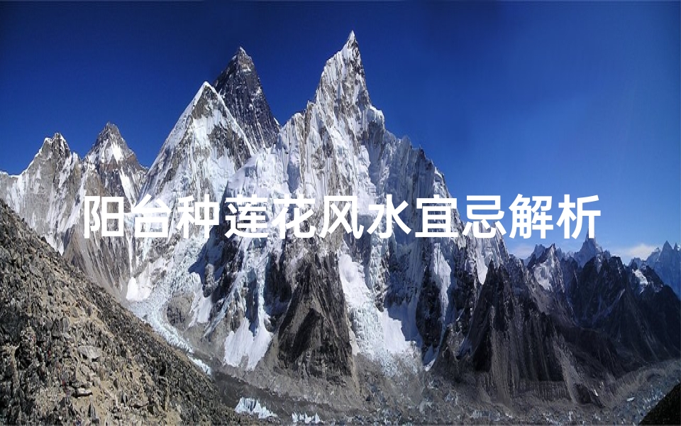 阳台种莲花风水宜忌解析