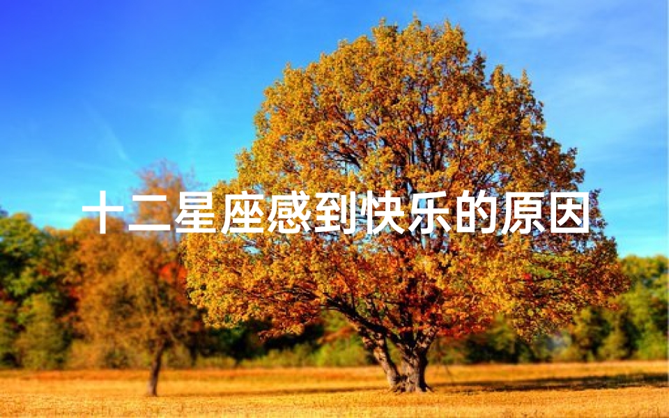 十二星座感到快乐的原因,揭秘每个星座的幸福密码