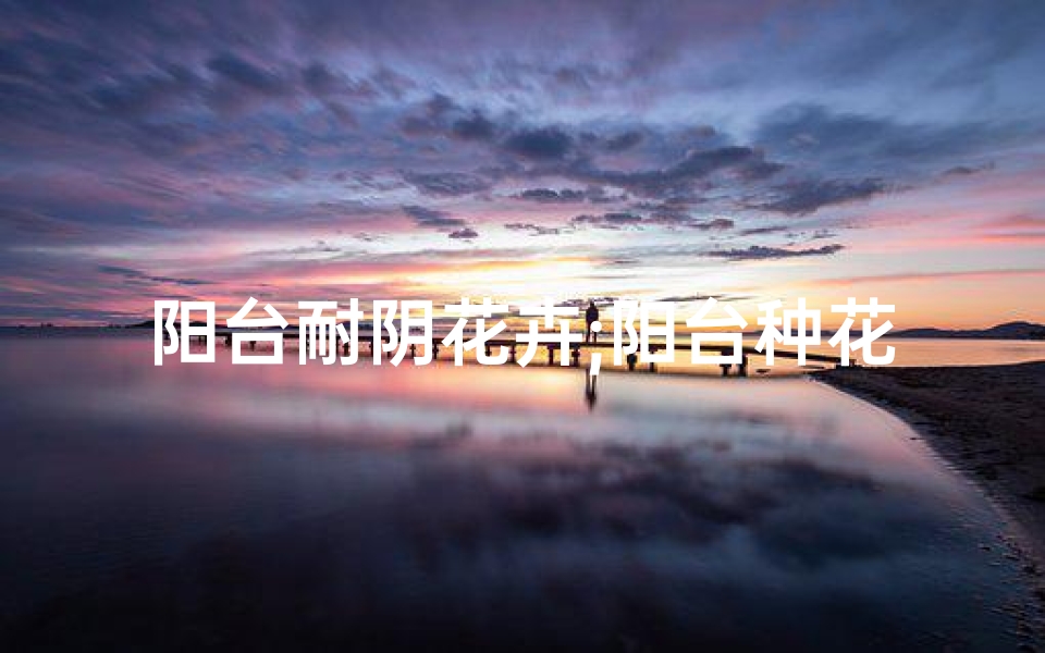 阳台耐阴花卉;阳台种花耐阴风水解析:适宜家居的阴凉绿意