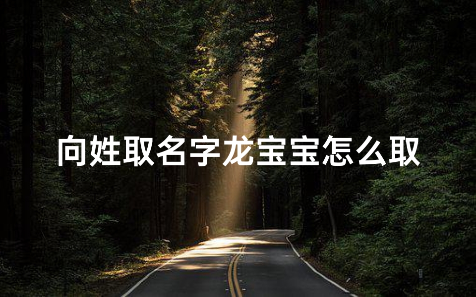 向姓取名字龙宝宝怎么取-《向姓龙宝宝取名：传承文化，寓意吉祥》