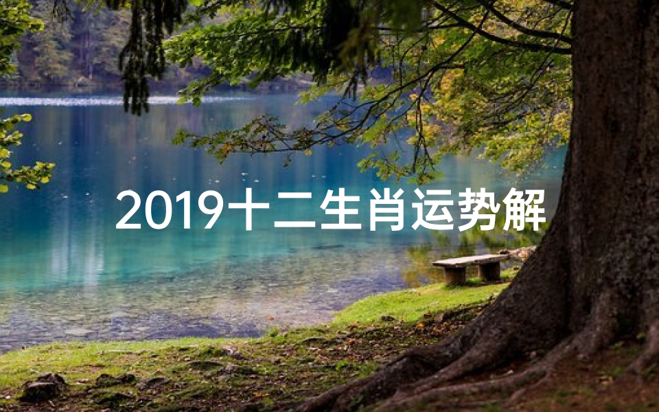 2019十二生肖运势解