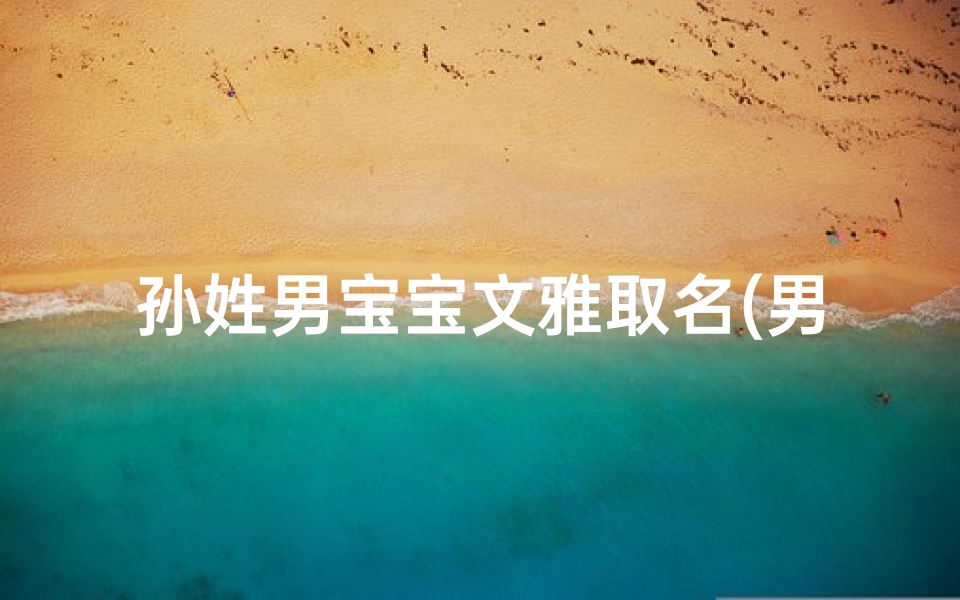 孙姓男宝宝文雅取名(男宝孙姓起名)