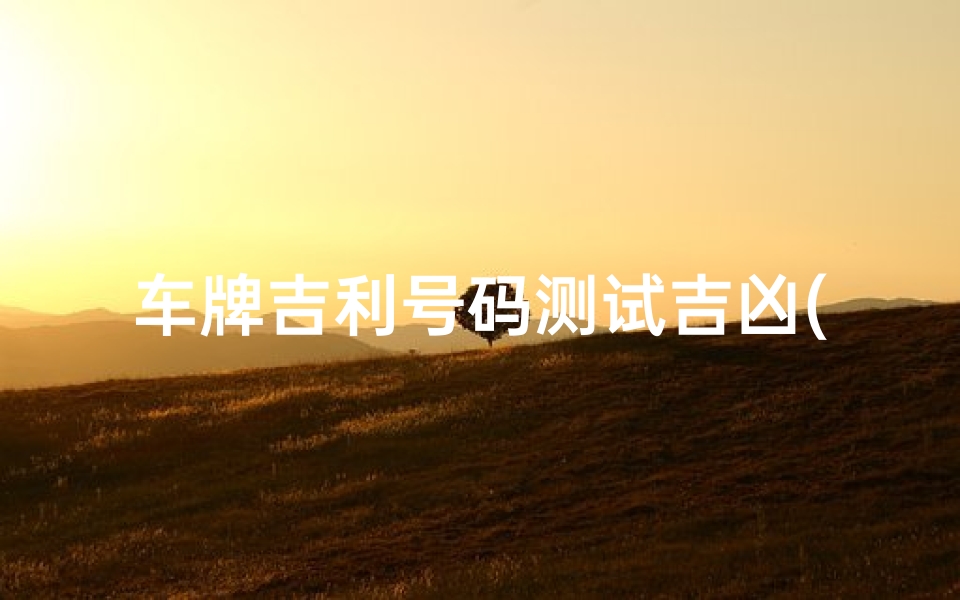 车牌吉利号码测试吉凶(车牌号码测吉凶打分)