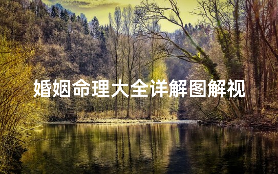 婚姻命理大全详解图解视频(解析命理学中分析命主的不良婚姻都有哪些技巧)