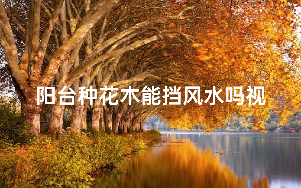 阳台种花木能挡风水吗视频-阳台种花木真的能挡风水吗?