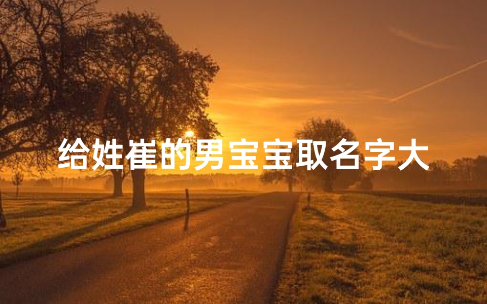 给姓崔的男宝宝取名字大全(姓崔的男孩起什么名好属龙)