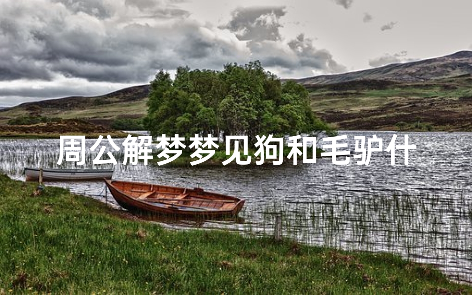 周公解梦梦见狗和毛驴什么意思(梦见自己的狗狗是什么意思 )
