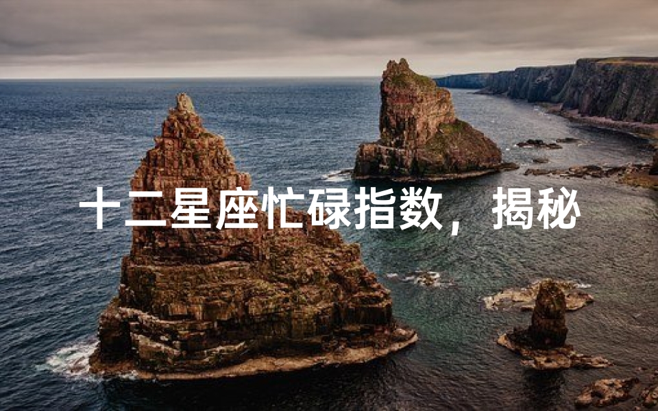 十二星座忙碌指数,揭秘不同星座的职场表现