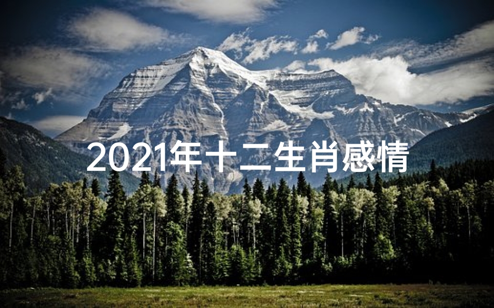 2021年十二生肖感情_《生肖运势揭秘:探寻十二生肖情感密码》
