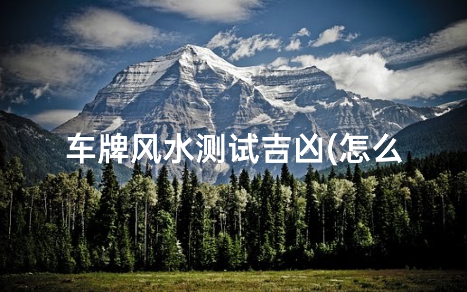 车牌风水测试吉凶(怎么看车牌吉凶 )