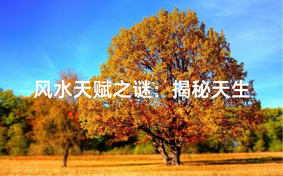 风水天赋之谜:揭秘天生还是后天?