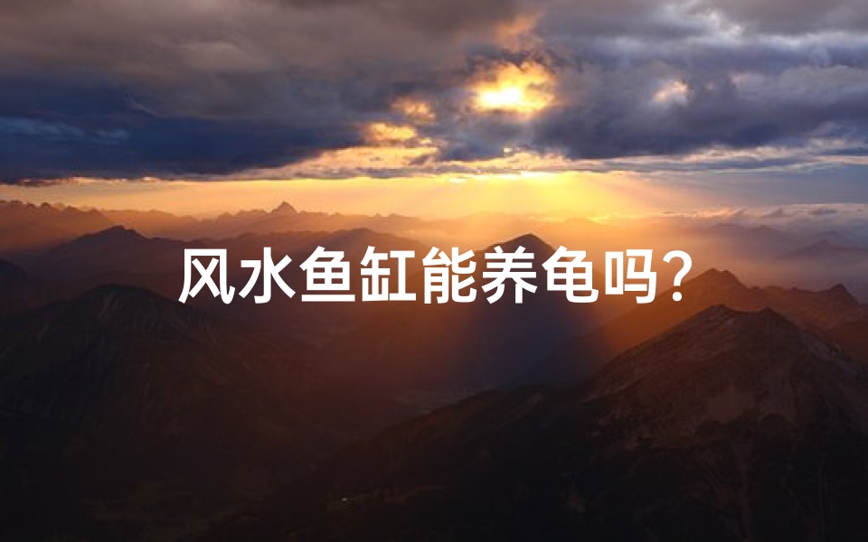风水鱼缸能养龟吗?