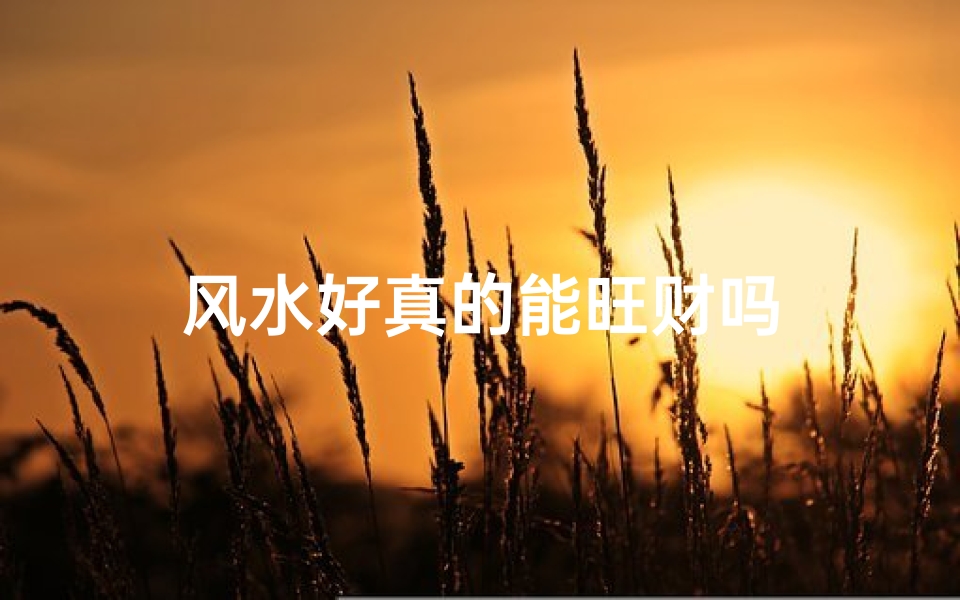 风水好真的能旺财吗
