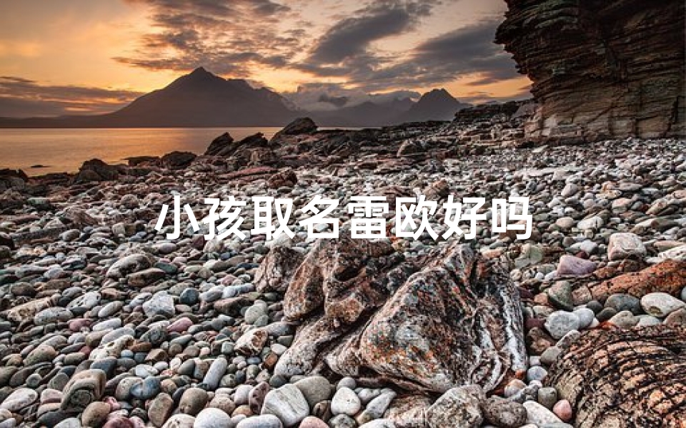小孩取名雷欧好吗