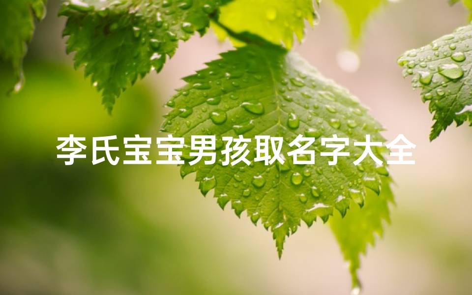 李氏宝宝男孩取名字大全(独特洋气的李氏宝宝名字)