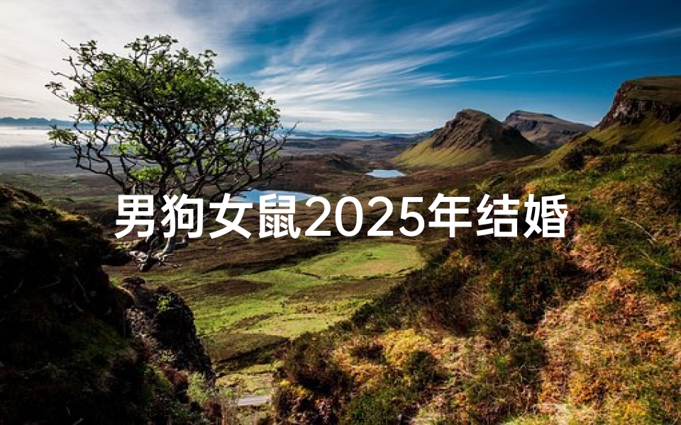 男狗女鼠2025年结婚吉日查询(结婚要日子有什么讲究)