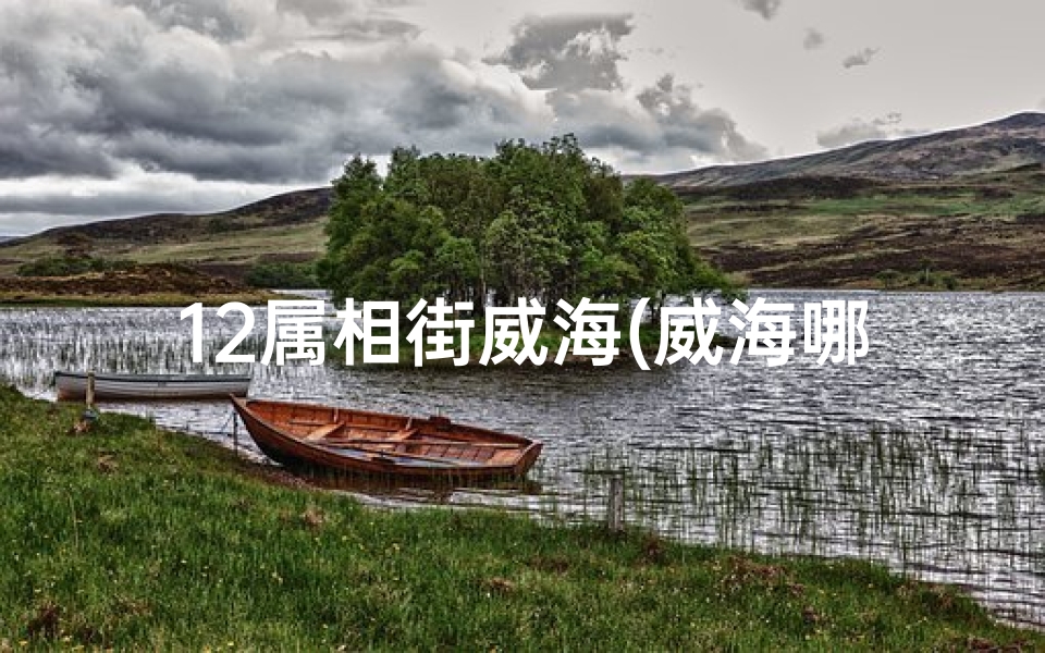 12属相街威海(威海哪有像样的电玩店啊)