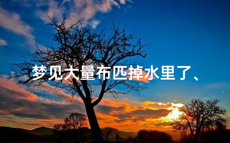 梦见大量布匹掉水里了、梦到布匹