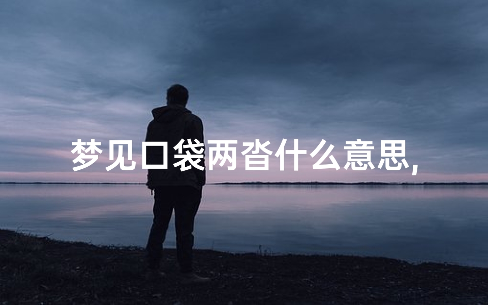 梦见口袋两沓什么意思,梦见两袋子钱什么意思