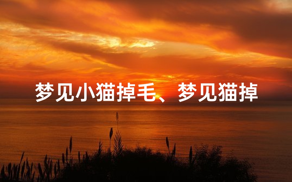 梦见小猫掉毛、梦见猫掉毛预示吉凶?揭秘梦境中的猫毛之谜