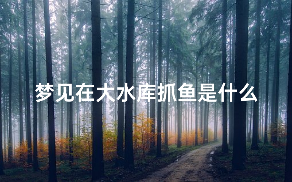 梦见在大水库抓鱼是什么寓意_梦见在水库里抓到一条大鱼