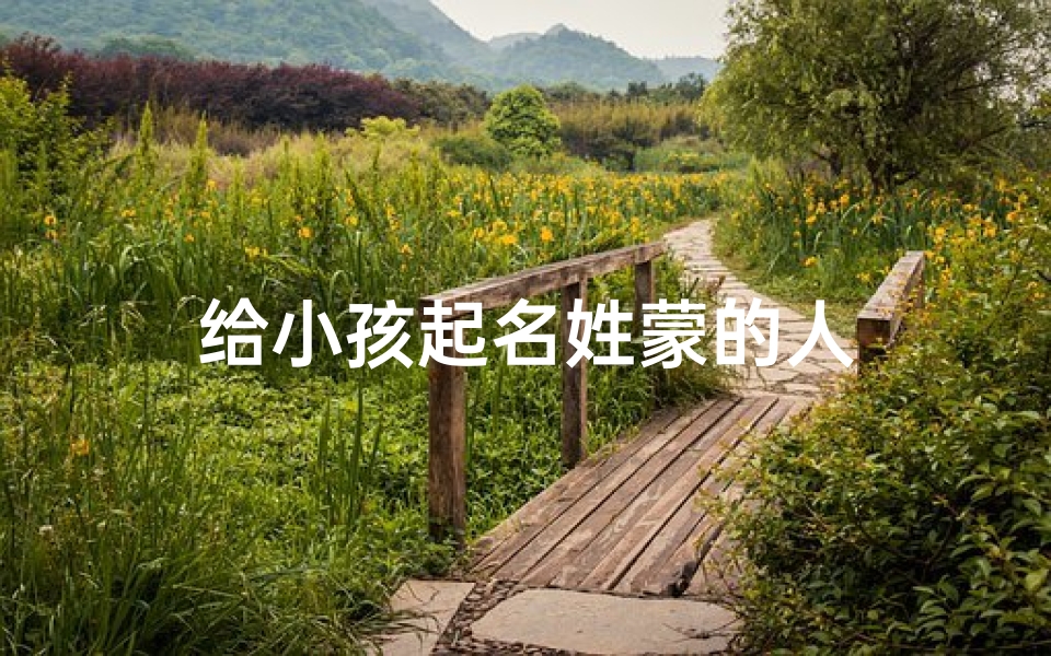 给小孩起名姓蒙的人