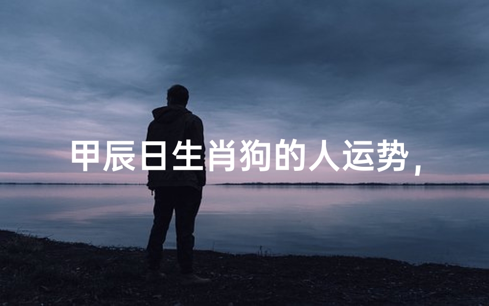 甲辰日生肖狗的人运势,2024年属狗人运势详解