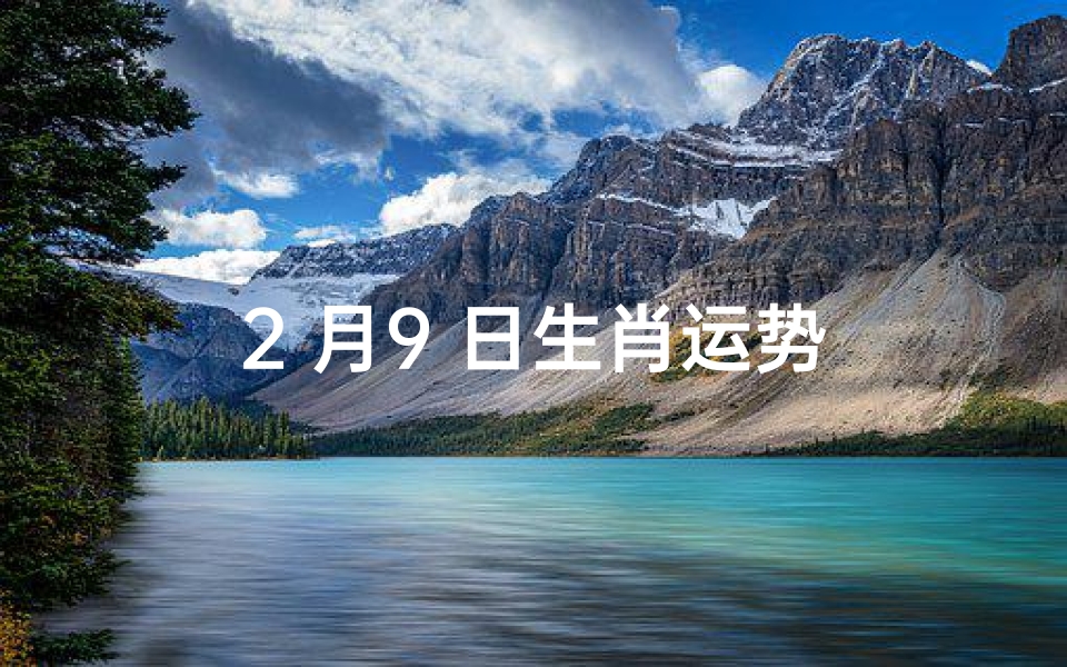 2 月9 日生肖运势