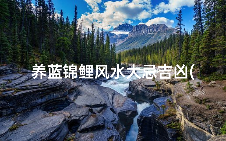 养蓝锦鲤风水大忌吉凶(淡蓝色锦鲤)