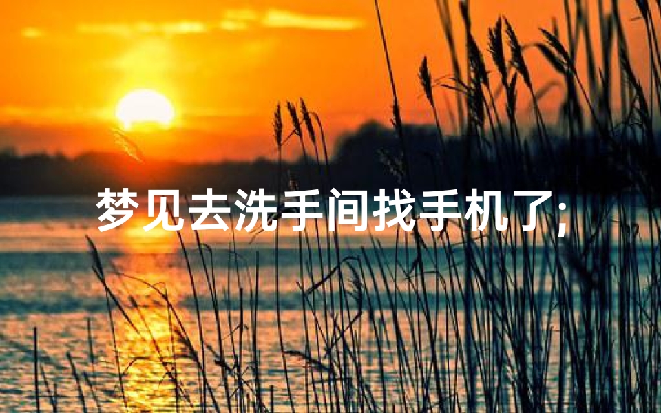 梦见去洗手间找手机了;梦见找洗手间找不到-东贵算卦网