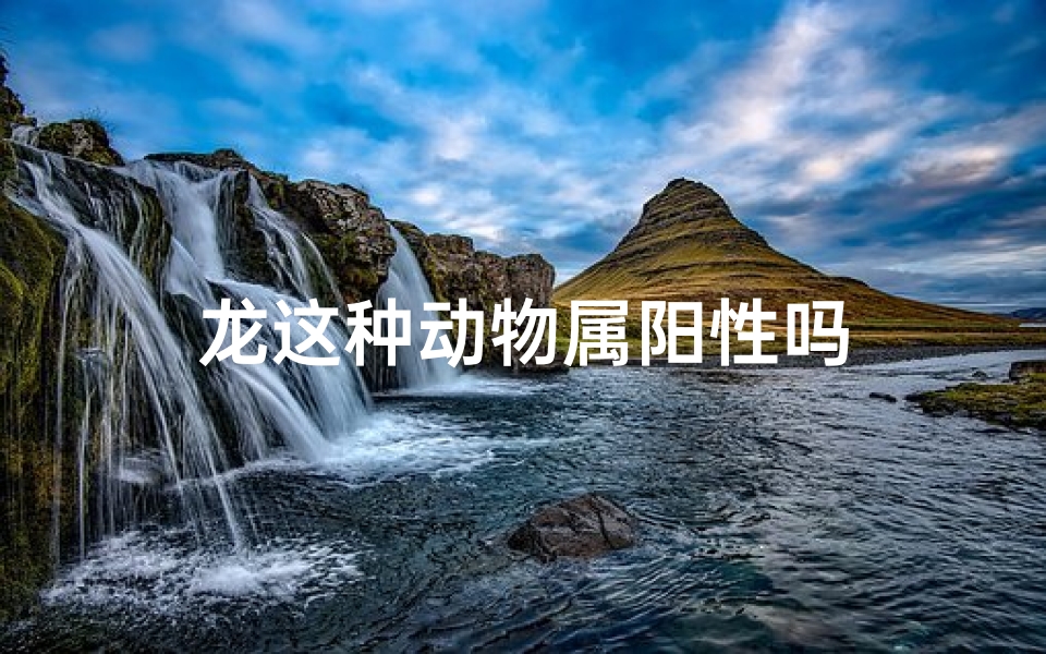 龙这种动物属阳性吗-东贵算卦网