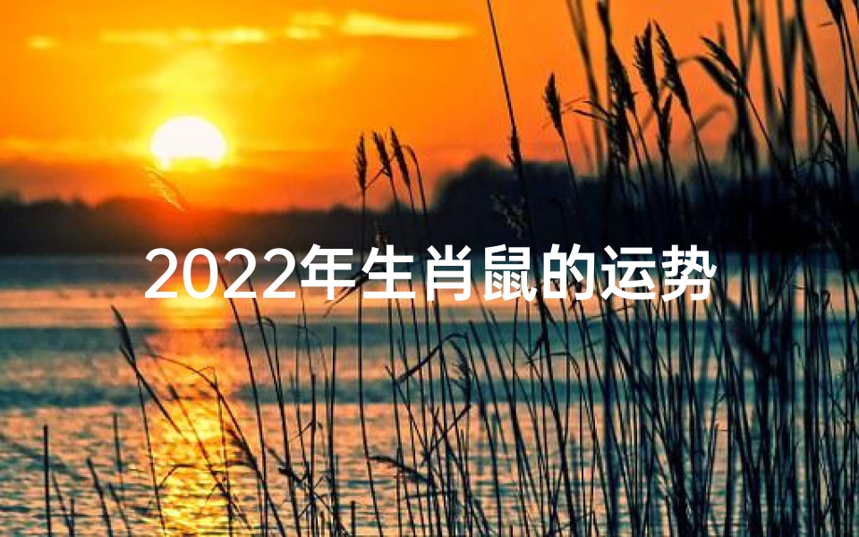 2022年生肖鼠的运势—2022年生肖鼠运势详解:运势大揭秘