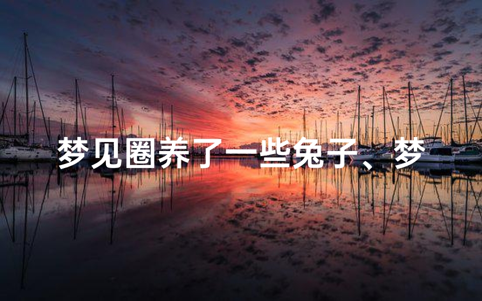 梦见圈养了一些兔子、梦到养一群兔子