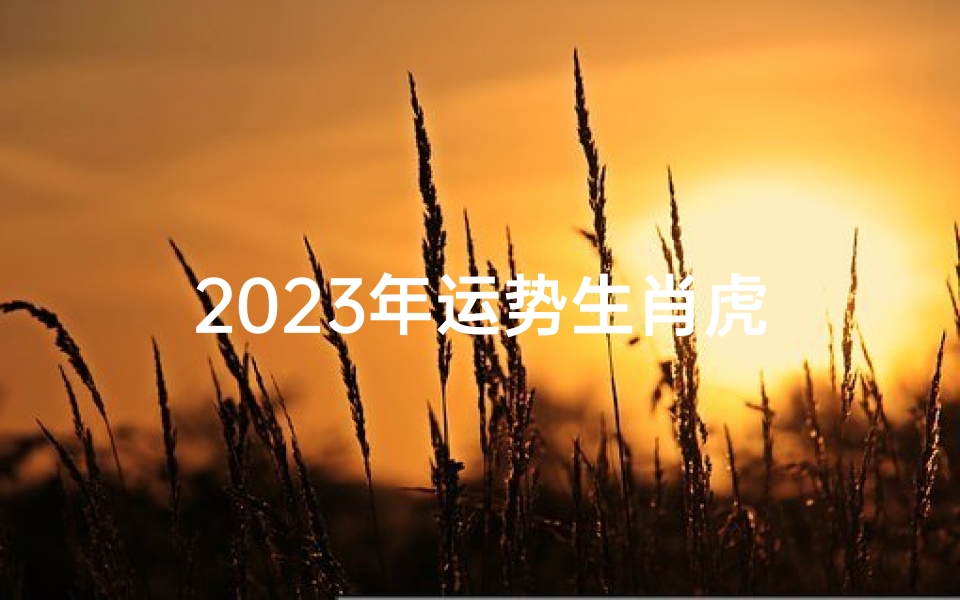 2023年运势生肖虎