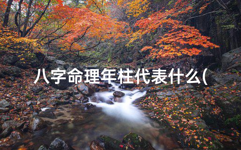 八字命理年柱代表什么(年柱月柱日柱时柱代表什么)