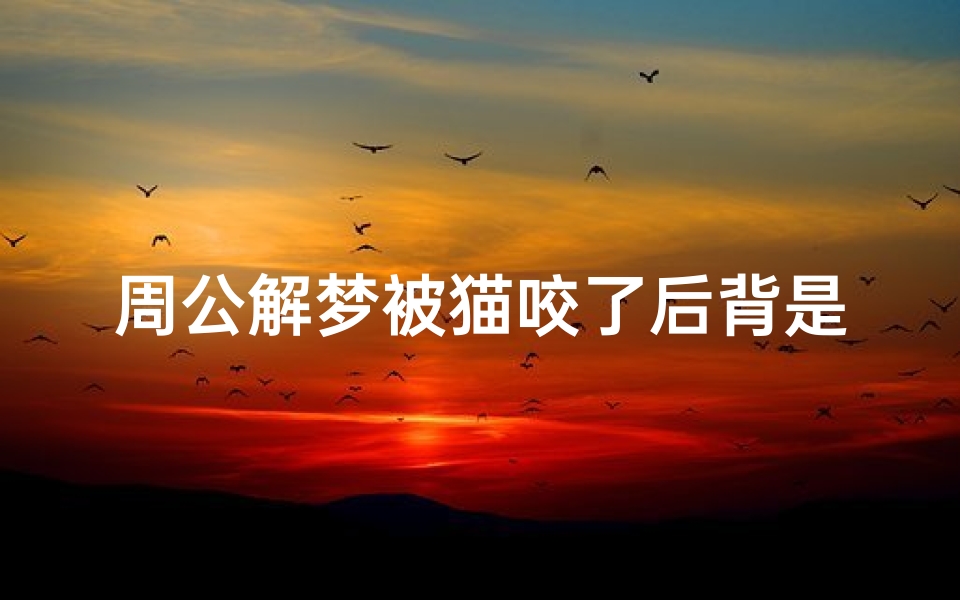 周公解梦被猫咬了后背是什么意思(梦见被猫咬伤是什么意思 )