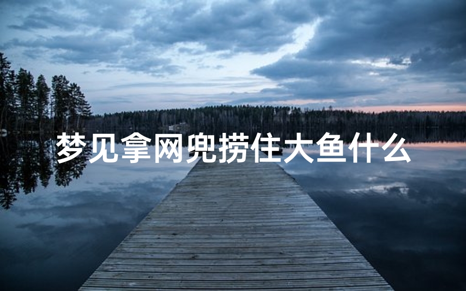 梦见拿网兜捞住大鱼什么意思;梦见用网兜捞鱼周公解梦