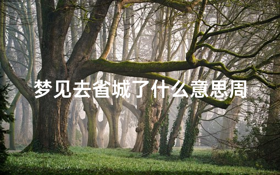 梦见去省城了什么意思周公解梦(梦见看别人写的作文)