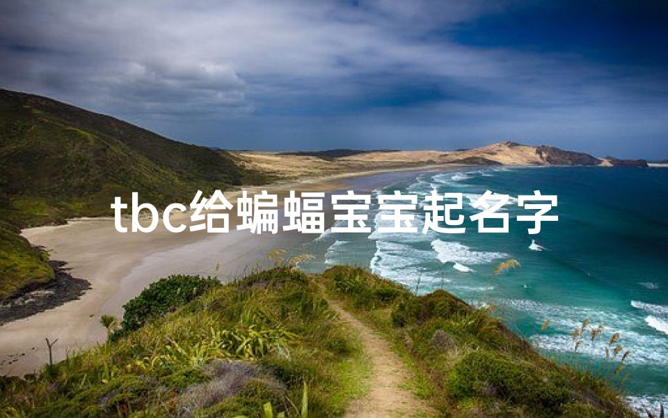 tbc给蝙蝠宝宝起名字(tbc哪里抓蝙蝠)