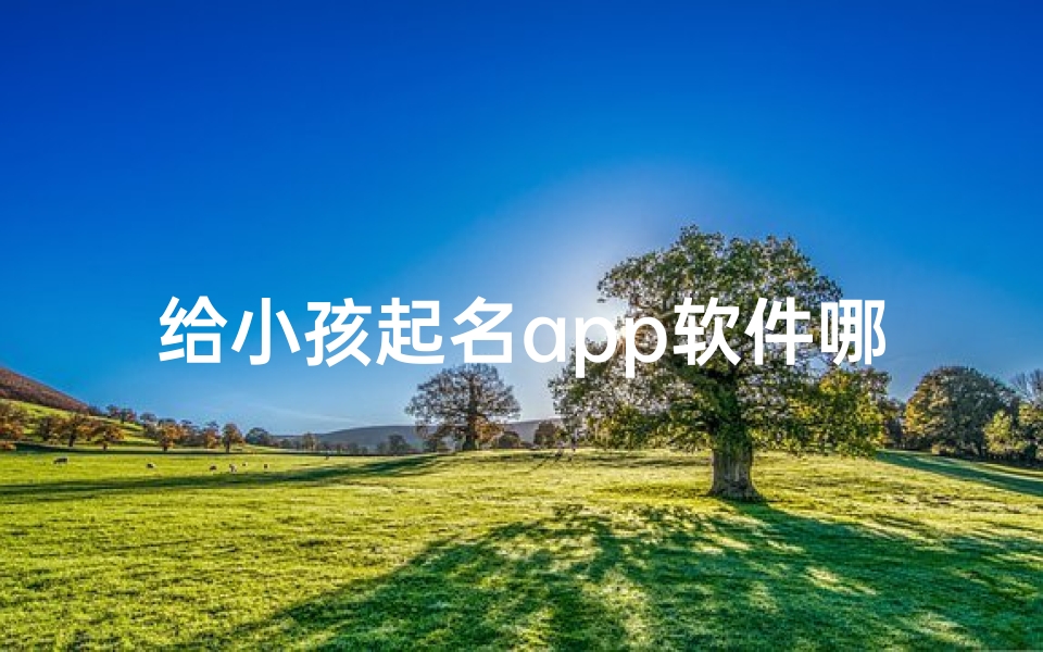 给小孩起名app软件哪个好—给小孩起名的软件