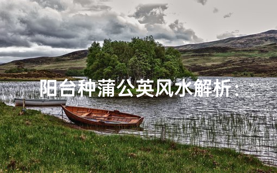 阳台种蒲公英风水解析:适宜与否?
